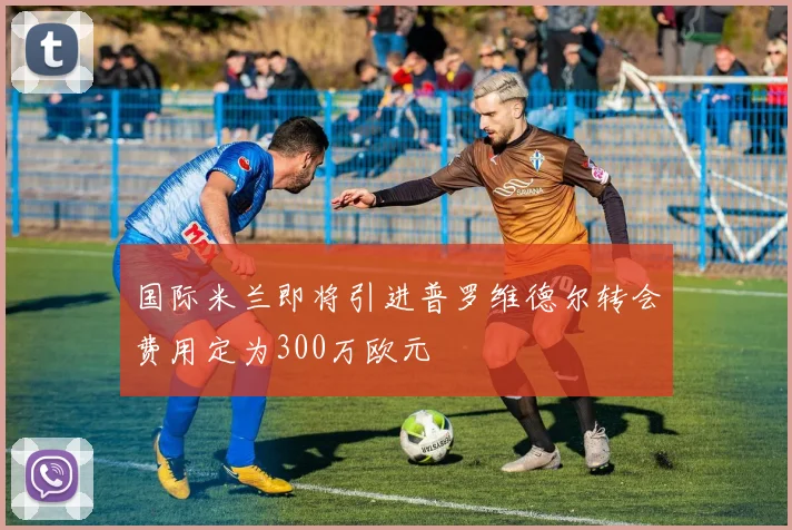 国际米兰即将引进普罗维德尔转会费用定为300万欧元